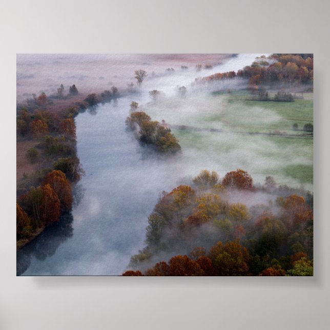 Trees in the morning mist poster (Framsidan)