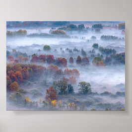 Trees in the morning mist poster