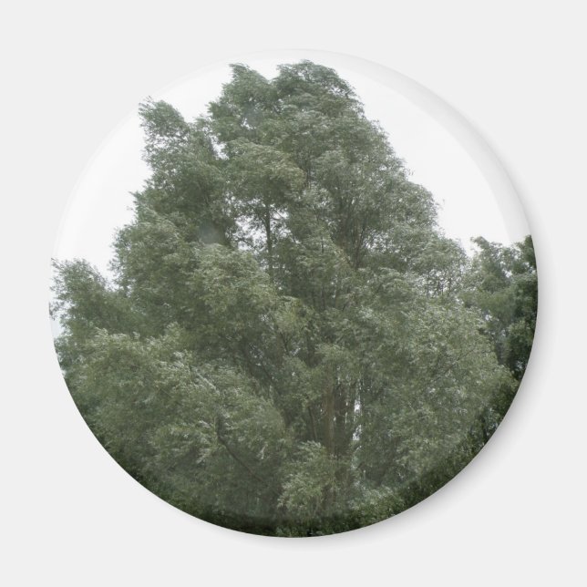 Treetops Magnet (Framsidan)