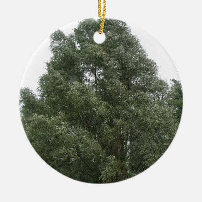 Treetops Ornament (Framsidan)