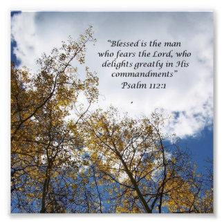 Treetops Psalms 11:23 skriptfotoutskrift Fototryck