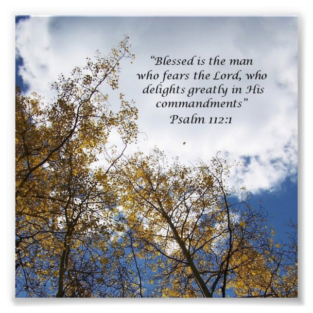 Treetops Psalms 11:23 skriptfotoutskrift Fototryck (Framsidan)