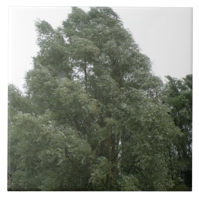 Treetops Tile Kakelplatta (Framsidan)