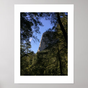 Treeview Yosemite Grönt Blue Färg Photography Poster