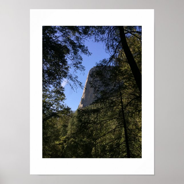 Treeview Yosemite Grönt Blue Färg Photography Poster (Framsidan)
