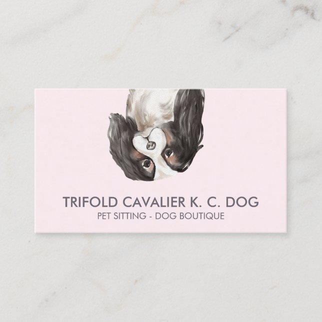 Trefaldig cavalier king charles hund visitkort (Framsida)