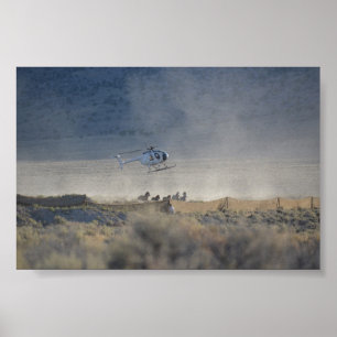Trefaldig Nevada för dal för b-Runda-uppButte Poster