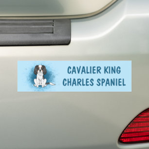 Trefärgad Cavalier King Charles Spaniel Hund På Bl Bildekal