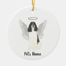 Trefärgad engelsk springerspaniel Sympati