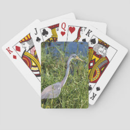 Trefärgad häger casinokort