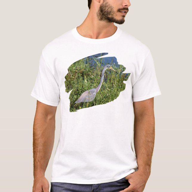 Trefärgad häger t shirt (Framsida)