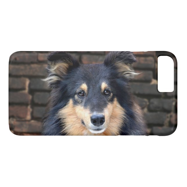 Trefärgad Sheltie ansikte Case-Mate iPhone Skal (Baksida (horisontal))