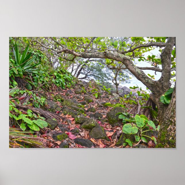 Trekking Kalalau Trail, Napali Kusten, Kauai Poster (Framsidan)