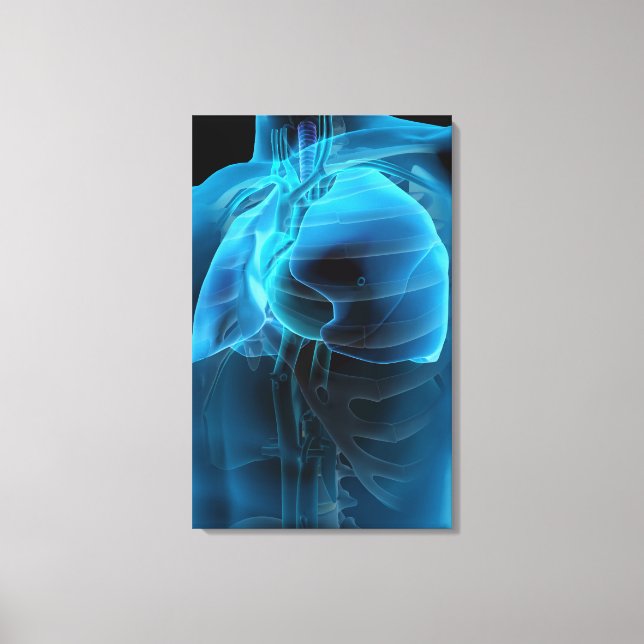 Trekvarts syn på hjärtat och lungorna canvastryck (Framsida)