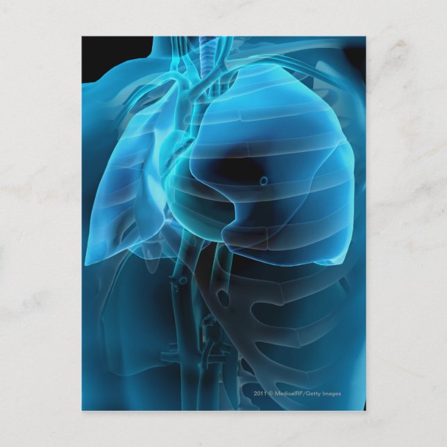 Trekvarts syn på hjärtat och lungorna vykort (Framsida)