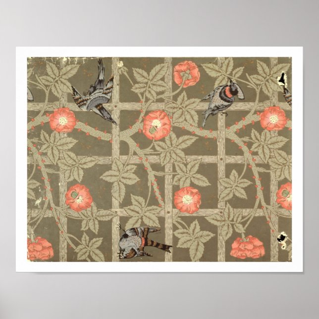 Trellis tapet-design med flaska grönt baksida poster (Framsidan)