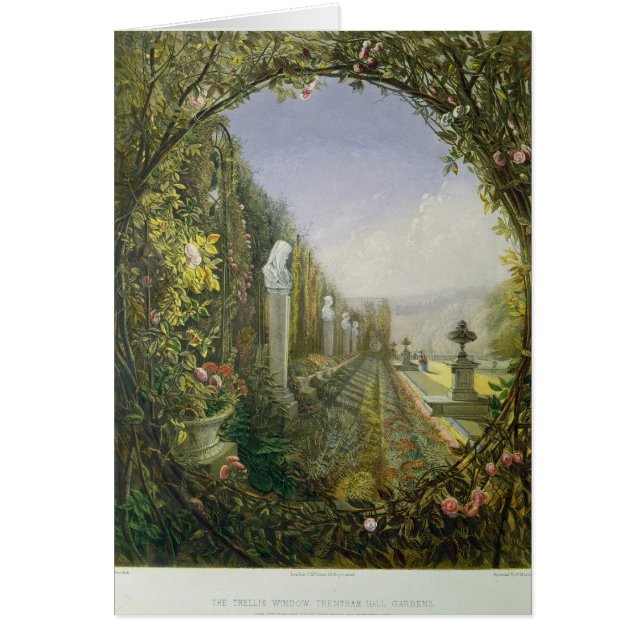 Trellis Window, Trentham Hall Gardens Hälsningskort (Framsidan)