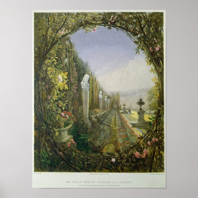 Trellis Window, Trentham Hall Gardens Poster (Framsidan)