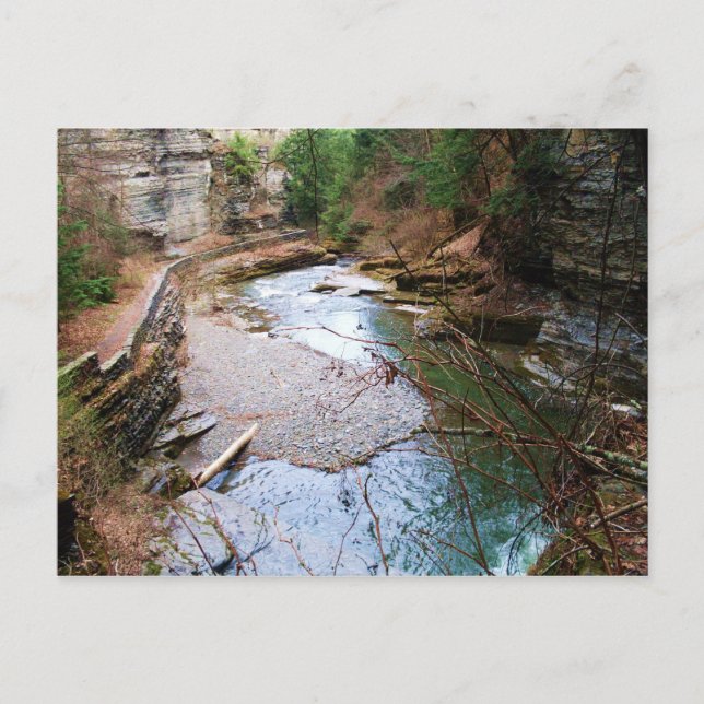 TREMAN STATE PARK,ITHACA,N.Y. vykort (Framsida)