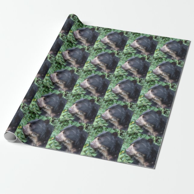Tremarctos ornatus presentpapper (Utrullad)