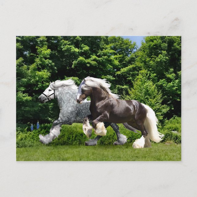 "Tremayne & Caspian" vykort (Framsida)