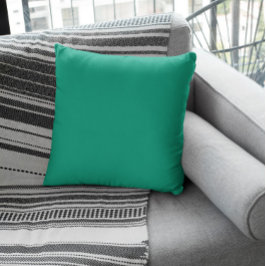 Trend Färg - Jade Grönt Kudde