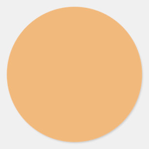 Trend Färg - Mjuk Orange-etikett Runt Klistermärke