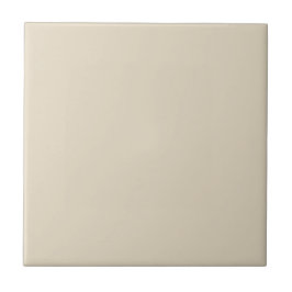 Trend Färg Natural Beige Decorative Ceramic Tile Kakelplatta