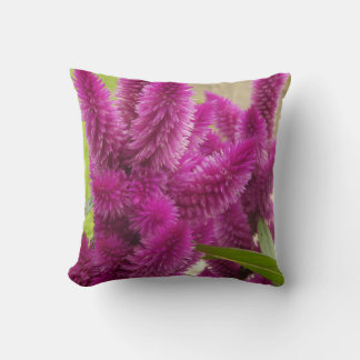 Trend Throw Pillow With Picture Of Celosia Flower Kudde