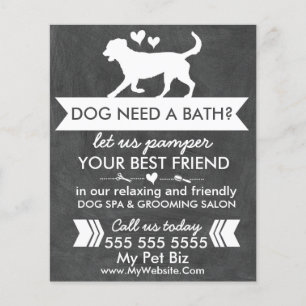 Trendig Charcol Black Hund Grooming Flyer