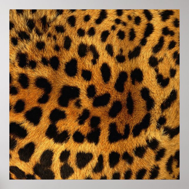 trendig chic  mönster brunleopard poster (Framsidan)