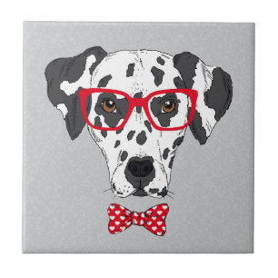 Trendig Dalmatian Kakelplatta