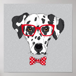 Trendig Dalmatian Poster