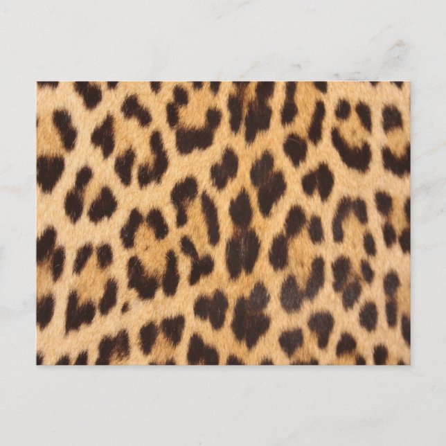 trendig flickig chic vild safari leopardmönster vykort (Framsida)