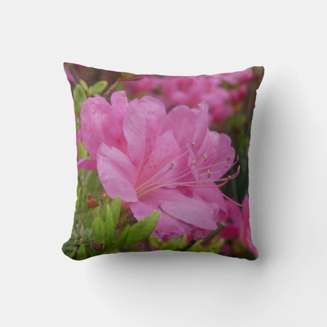 Trendig Kastkudde Med Bild Av Rhododendron Kudde (Framsida)