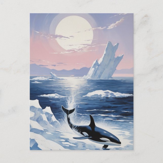 Trendig Killer Whale Orca Alaska Inbjudan Vykort (Framsida)