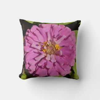 Trendig Kuddslang Med Lila Zinnia Kudde