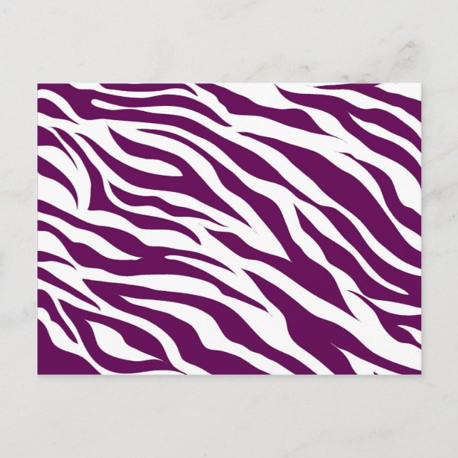 Trendig Lila White Zebra Rand Vild Animaliska utsk Vykort (Framsida)