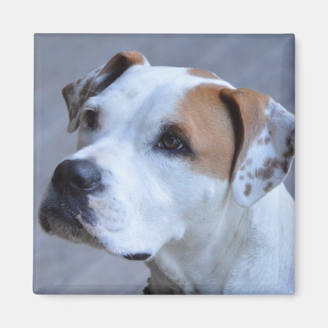 Trendig Personlig Pet Photo Magnet (Framsidan)