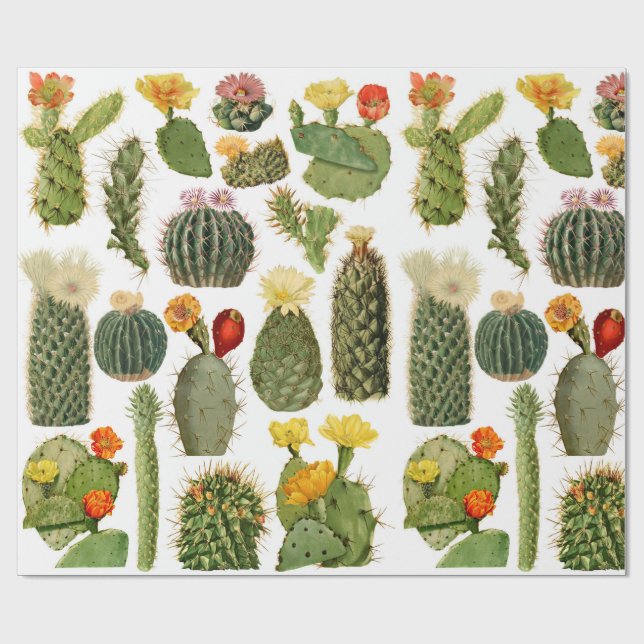Trendig Vintage Cactus Mönster Presentpapper (Platt)
