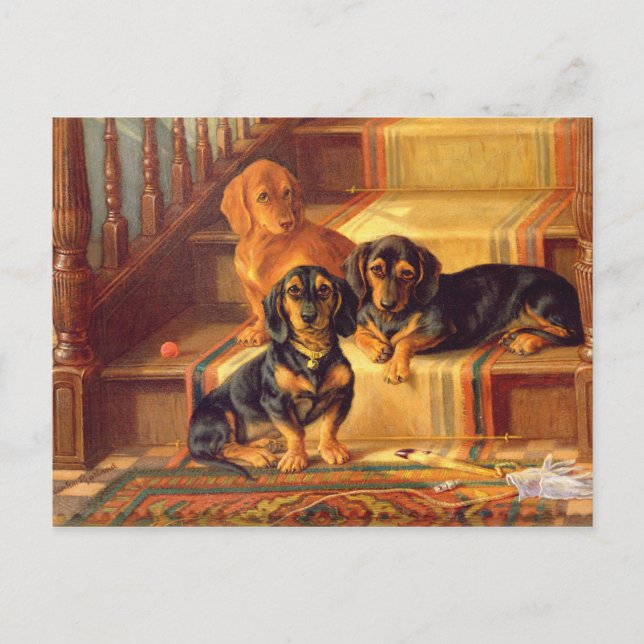 Trendiga Refinities Vykort (Framsida)