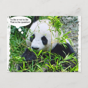 Trendiget Panda Modern pop Art-offertmall Vykort