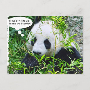 Trendiget Panda Modern Quote Animal Template Vykort