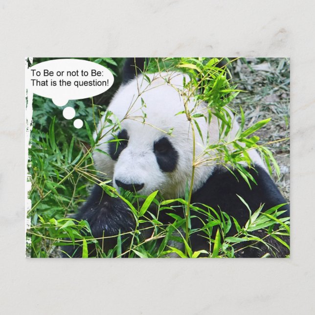 Trendiget Panda Modern Quote Animal Template Vykort (Framsida)