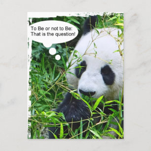 Trendiget Panda Quote Animal Template Modern Vykort