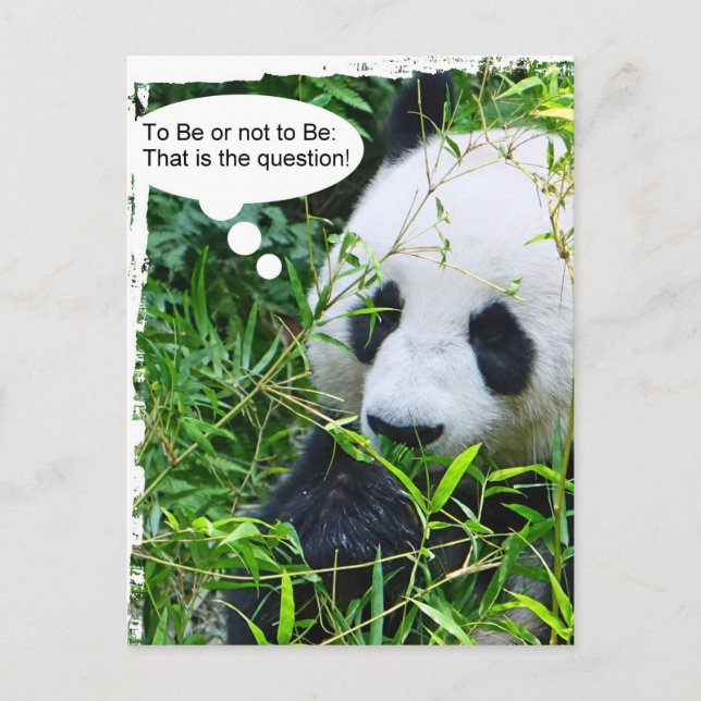 Trendiget Panda Quote Animal Template Modern Vykort (Framsida)