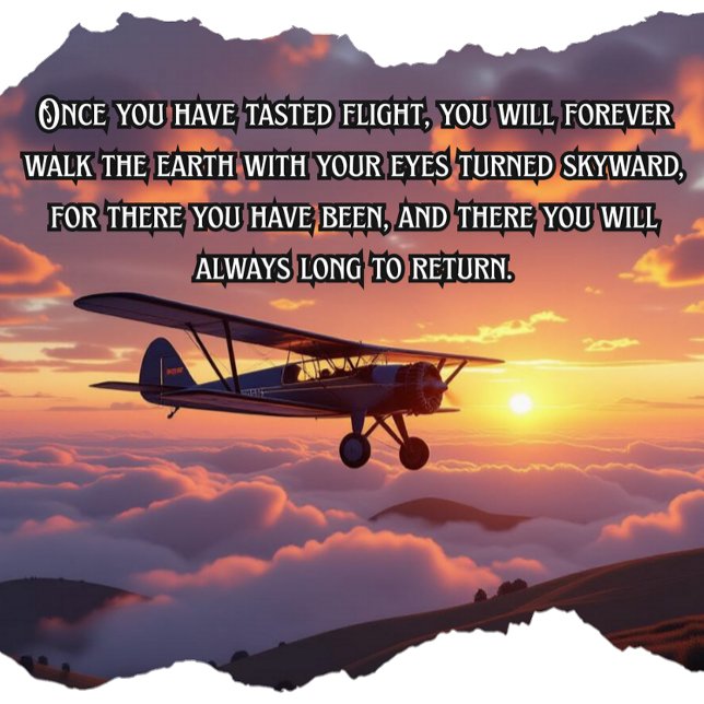 Trendy Famous Aviation Quotes T Shirt (Skapare uppladdad)