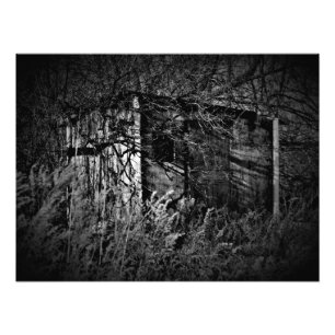 "Trespass Fever" Fototryck