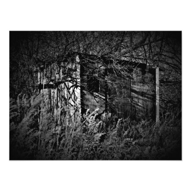 "Trespass Fever" Fototryck (Framsidan)