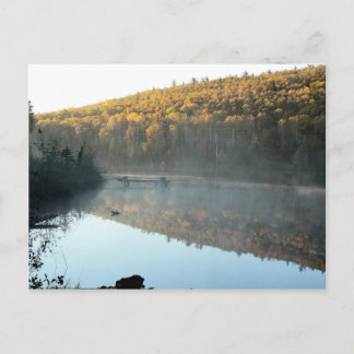 Trestle Gräs Morgonvykort Vykort
